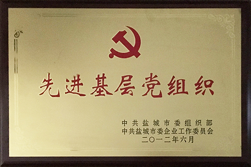 2012年6月&ldquo;先進(jìn)基層黨組織&rdquo;.JPG